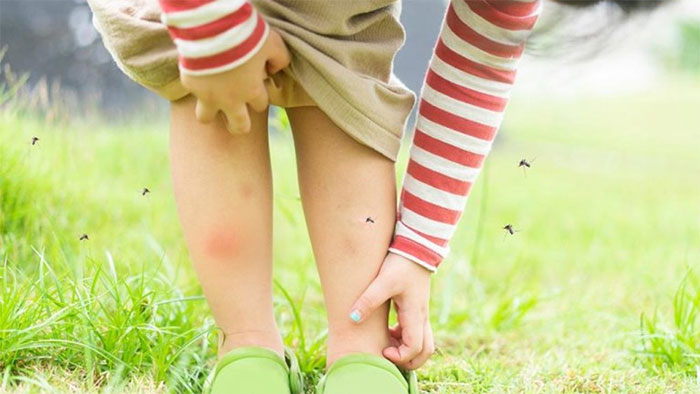Sốt xuất huyết Dengue và những điều có thể bạn chưa biết