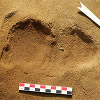 Phát hiện dấu chân người vùi dưới cát 80.000 năm