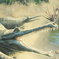 Hóa thạch kỷ Jura tiết lộ loài cá sấu mõm dài mới