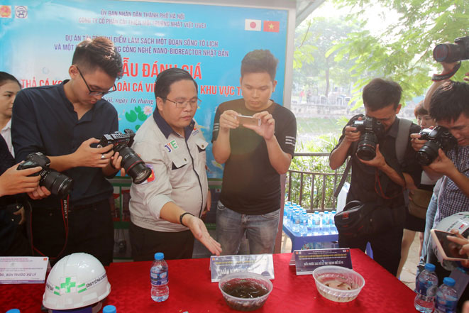 Thả cá Koi Nhật Bản xuống sông Tô Lịch và Hồ Tây để minh chứng chất lượng nước