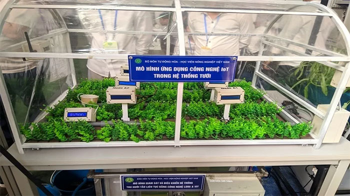 Sinh viên thiết kế hệ thống tự động tưới khi cây 