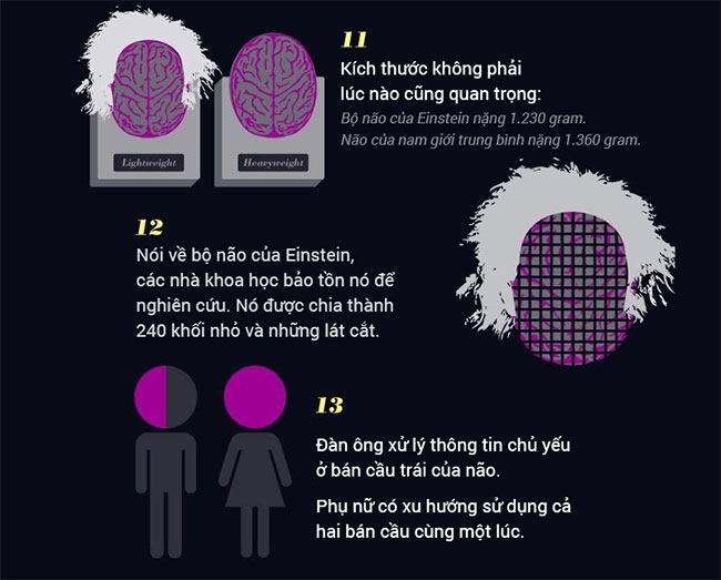 15 sự thật khó tin về não bộ