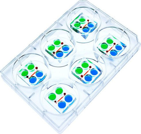 Thiết bị ươm mầm hàng ngàn phôi người cùng lúc và tương lai 