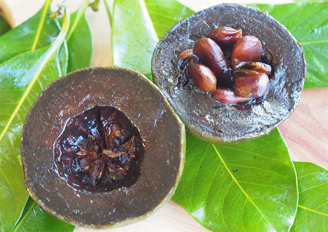 Mê đắm 4 kỳ quả “dại“ đẹp không tưởng mà lại còn siêu ngon và bổ nhất thế gian