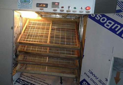 Nông dân 8X chế tạo máy ấp trứng tỷ lệ nở 98%
