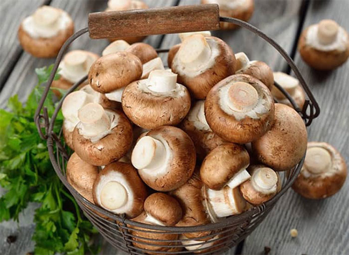 Ăn nấm có thể ngừa ung thư nhưng không ăn thay thịt, cá