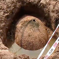 Ngư dân tình cờ tìm thấy chiếc mai khổng lồ 10.000 năm tuổi ở Argentina