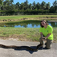 Thợ săn Florida bắt trăn Miến Điện dài gần 6 mét