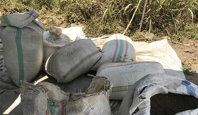 Những bao tả lá Kratom khô.