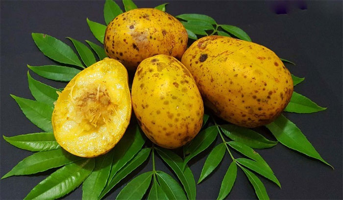 Lợi ích và bài thuốc cực hay từ quả cóc
