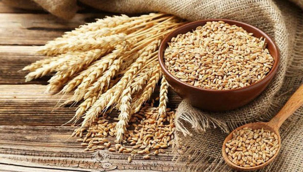 Những thực phẩm giúp giảm cholesterol trong máu