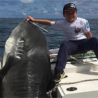 Cậu bé 8 tuổi câu được cá mập hổ “khủng” 314kg, phá kỷ lục thế giới suốt 22 năm
