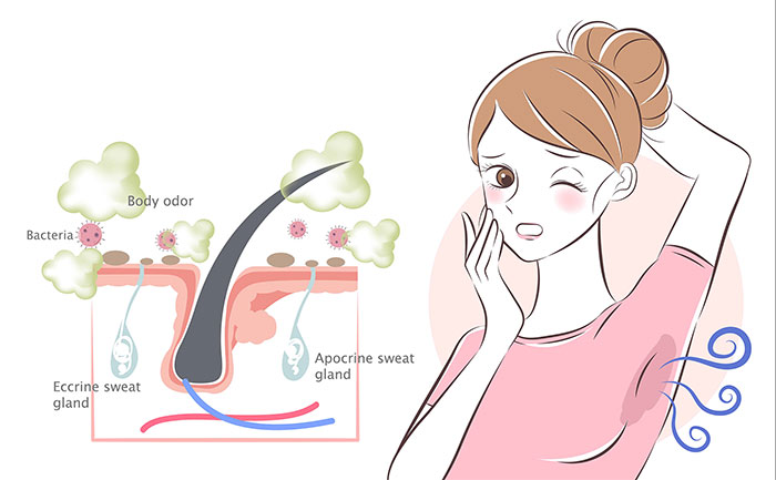 Mùi cơ thể dưới góc nhìn khoa học