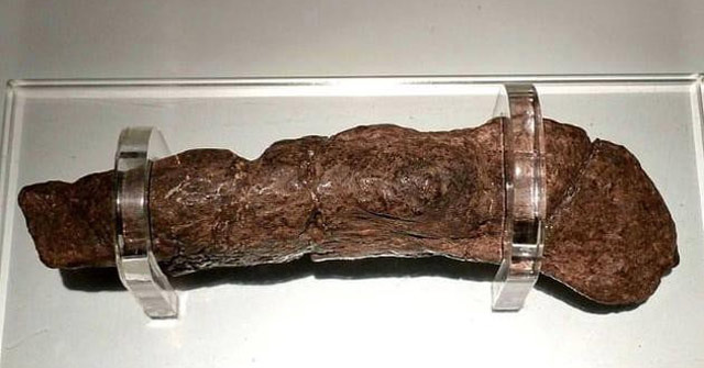 Những cục phân đắt giá nhất thế giới, viên 80kg trị giá 3 triệu USD - KhoaHoc.tv