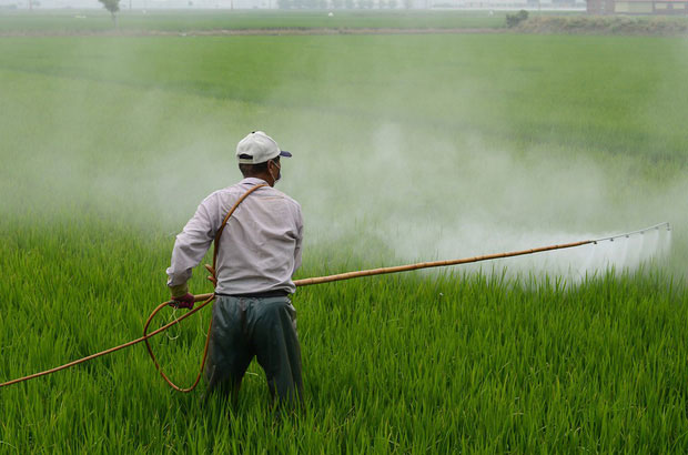 Nông thôn hay thành thị: Đâu mới là nơi trong lành và đáng sống nhất?