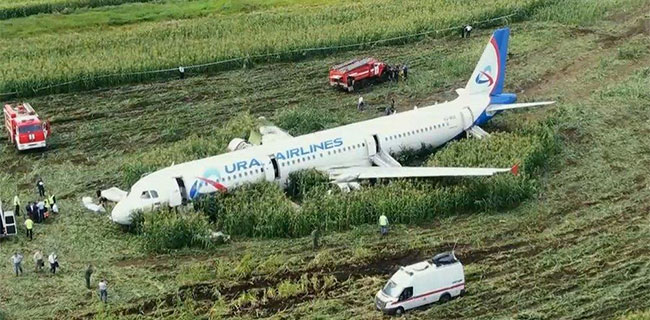 Máy bay của hãng Ural Airlines đáp xuống cánh đồng ngô bằng bụng sau khi va chạm với một đàn chim