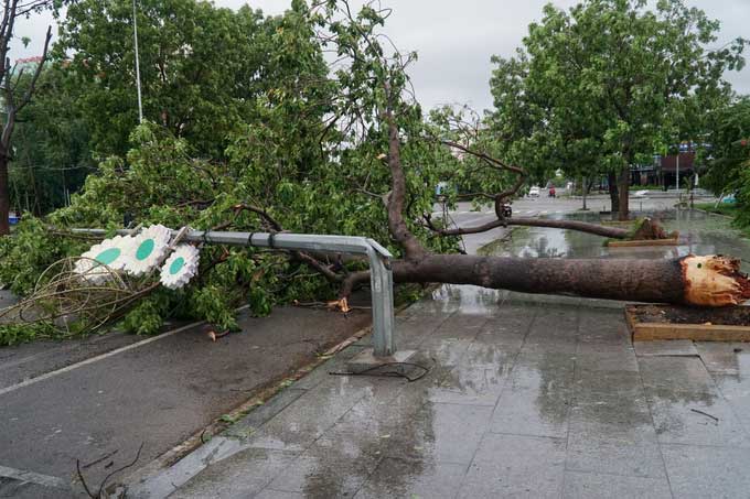 Phú Yên, Bình Định ngổn ngang sau bão Matmo