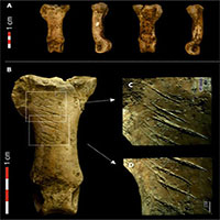 Dấu vết vòng cổ bằng vuốt đại bàng 40.000 năm tuổi