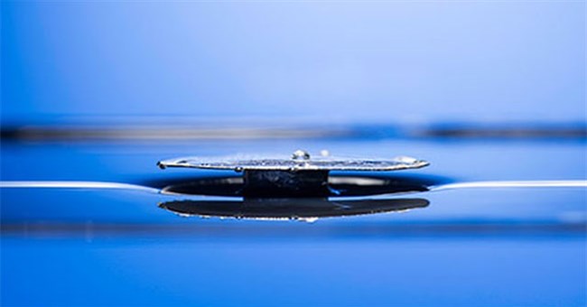 Kim loại mới không thể chìm trong nước, lấy ý tưởng từ kiến lửa