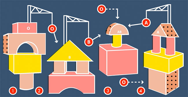 Tại sao mỗi người có nhóm máu khác nhau?
