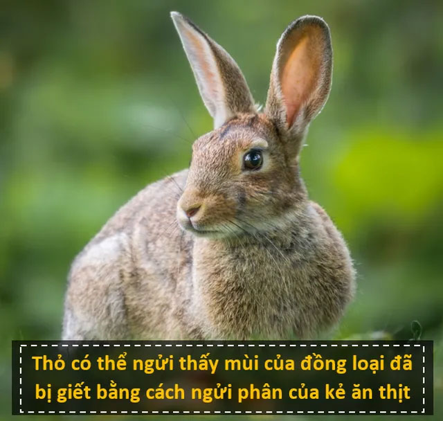11 sự thật 