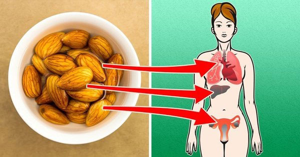 4 công dụng đắt giá của hạnh nhân, đặc biệt điều cuối mẹ bầu nào cũng thích