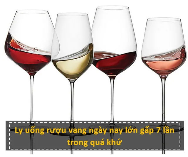 11 sự thật 