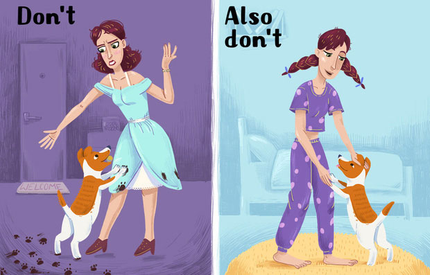 8 sai lầm cực kỳ nghiêm trọng rất nhiều người nuôi thú cưng đang mắc phải mà không hề hay biết