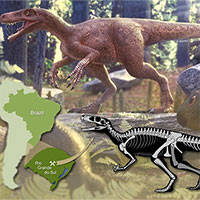 Phát hiện loài khủng long ăn thịt lâu đời nhất
