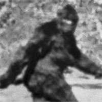 Xuất hiện video ghi lại tiếng hú lạ kỳ của Bigfoot, chứng minh sinh vật huyền bí này thật sự tồn tại