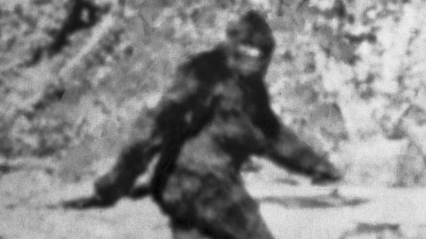 Xuất hiện video ghi lại tiếng hú lạ kỳ của Bigfoot, chứng minh sinh vật huyền bí này thật sự tồn tại