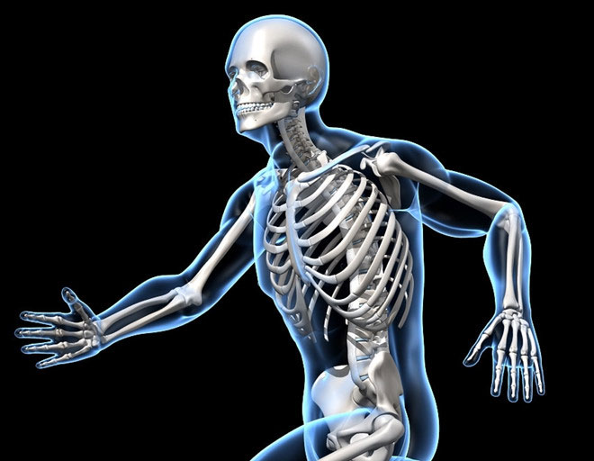 Bộ xương người luôn là chủ đề đặc biệt thu hút sự chú ý của mọi người. Chúng tôi cung cấp những bức ảnh đầy đủ và chân thật của bộ xương người, giúp bạn có thể khám phá cơ thể con người một cách sâu sắc. Hãy đến với chúng tôi để tận hưởng những thước phim hấp dẫn nhất.
