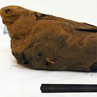 Bí ẩn hàng triệu xác ướp chim trong hầm mộ Ai Cập