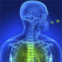 Bệnh viêm phổi: Nguyên nhân, triệu chứng và cách điều trị