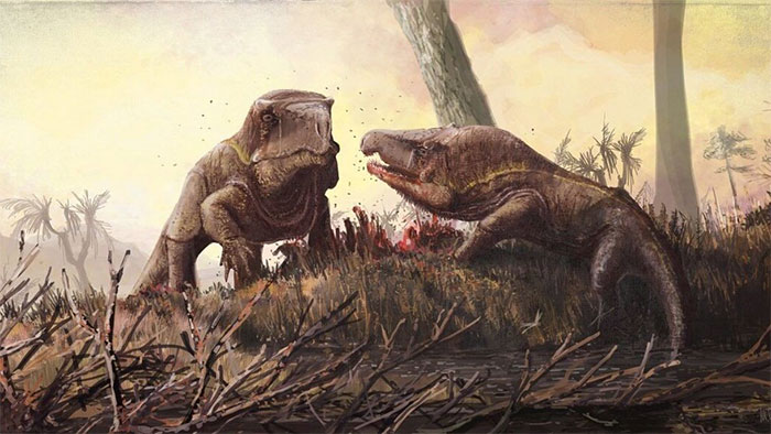 Quái vật cổ đại lai giữa cá sấu và rồng komodo