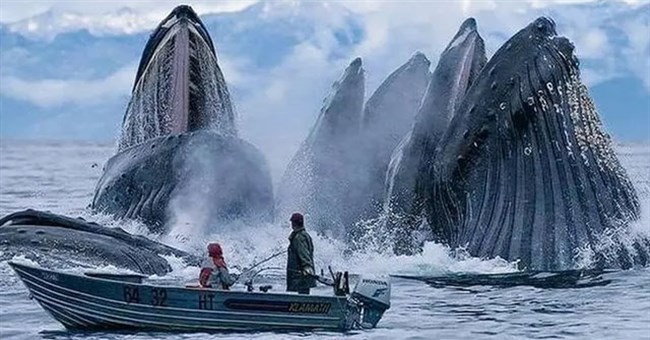 Những hình ảnh khiến bạn nhận ra mình biết quá ít về thế giới này