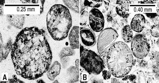 Bằng chứng sốc về tác động ngoài hành tinh khiến Trái đất "biến hình"