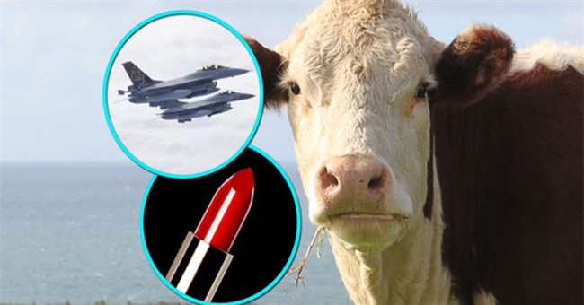 Thịt bò bạn thấy mỗi ngày chỉ chiếm 60% con bò! 40% còn lại để làm những thứ "siêu dị" này cơ!