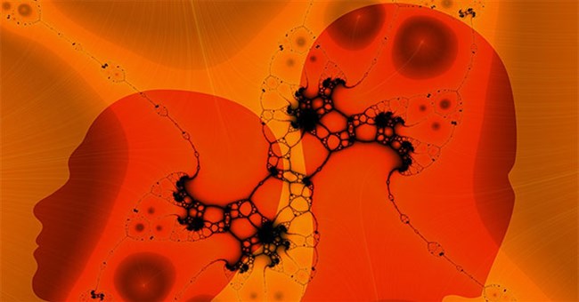 Những hiện tượng lạ về ghép tạng được giải thích ra sao?