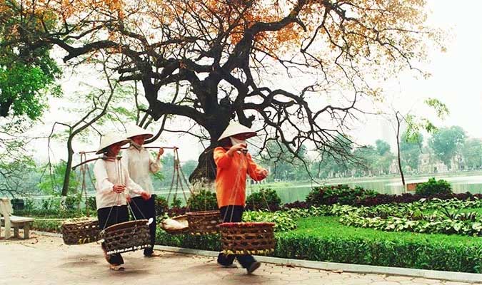 Các nhà khoa học quốc tế khám phá bí ẩn đòn gánh tre của người Việt