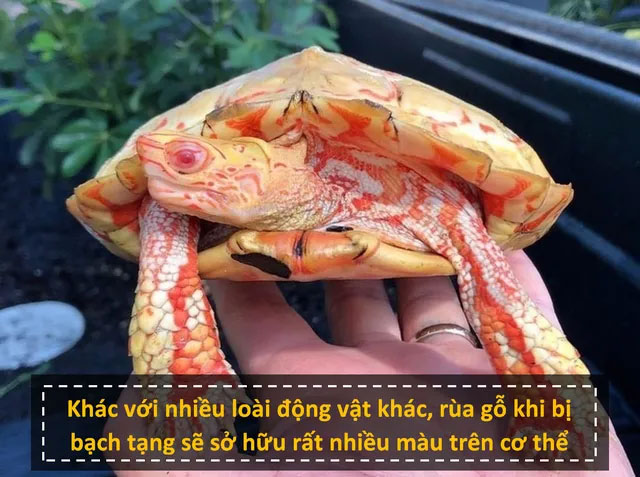 Những sự thật khoa học ít được biết đến sẽ khiến bạn không khỏi hoài nghi