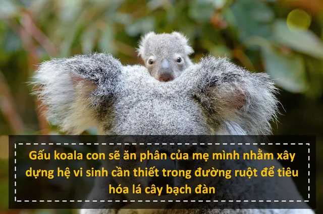 Những sự thật khoa học ít được biết đến sẽ khiến bạn không khỏi hoài nghi