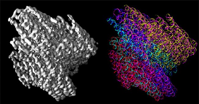 Những công nghệ sẽ cách mạng hóa tương lai của y học