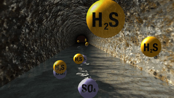 Cách nào nhận biết khí H2S, tránh nguy cơ ngộ độc?
