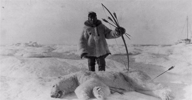 Chuyện kì lạ ở Nam Cực, ăn gan động vật có thể dẫn tới tử vong