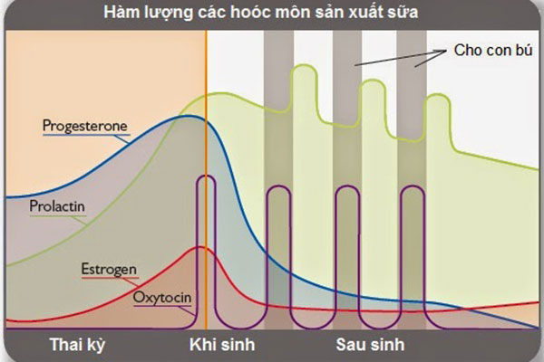 Sữa mẹ được 