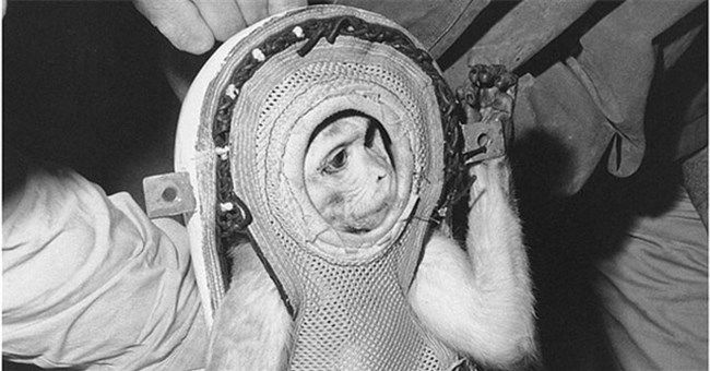 Kỳ thú chuyện con khỉ bay lên vũ trụ, ngày trở về, nó còn làm loạn cả một khu trục hạm của Mỹ