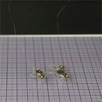 Chế tạo robot ruồi siêu nhỏ có thể theo dõi mọi ngóc ngách