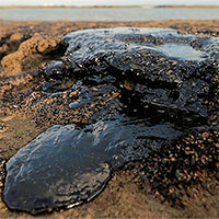 "Thủy triều đen" bí ẩn bóp nghẹt bờ biển hơn 4.400km của Brazil