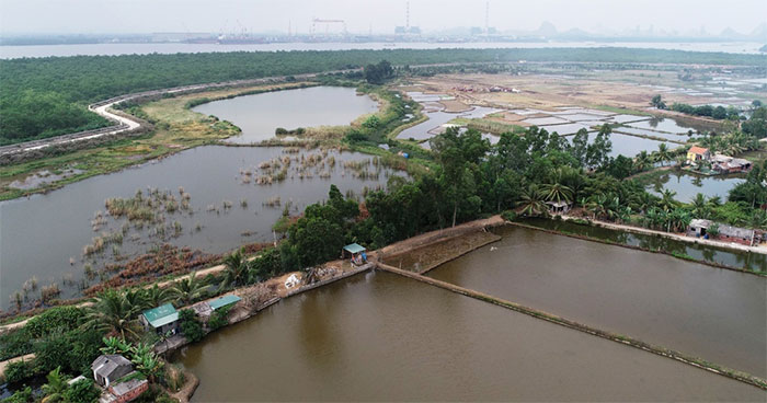 4 bãi cọc Bạch Đằng phát lộ sau hàng trăm năm
